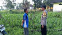 Ketahanan Pangan Desa Kuripan Didukung Langsung Aparat Kepolisian (1) Ketahanan Pangan Desa Kuripan Didukung Langsung Aparat Kepolisian