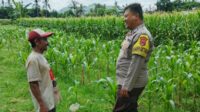 Polres Lombok Barat Dorong Ketahanan Pangan Desa Jembatan Gantung