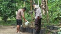 Polsek Batulayar Dorong Kemandirian Pangan Lewat Program Pekarangan di Dusun Orong (1) Polsek Batulayar Dorong Kemandirian Pangan Lewat Program Pekarangan di Dusun Orong