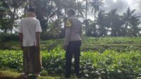 Polisi Ajak Warga Mareje Tanam Pangan Sendiri
