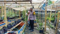 Bhabinkamtibmas Ajak Warga Dusun Tempit Tanam Sayur di Pekarangan Rumah