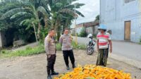 Polsek Labuapi Bantu Petani Amankan Harga Panen Jagung ke Bulog