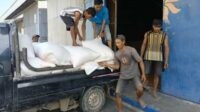 Sukses Panen: 25 Karung Jagung Petani Lombok Barat Terserap Bulog